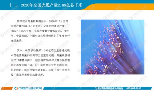 基礎電信業務 信息社會的基石與未來發展路徑